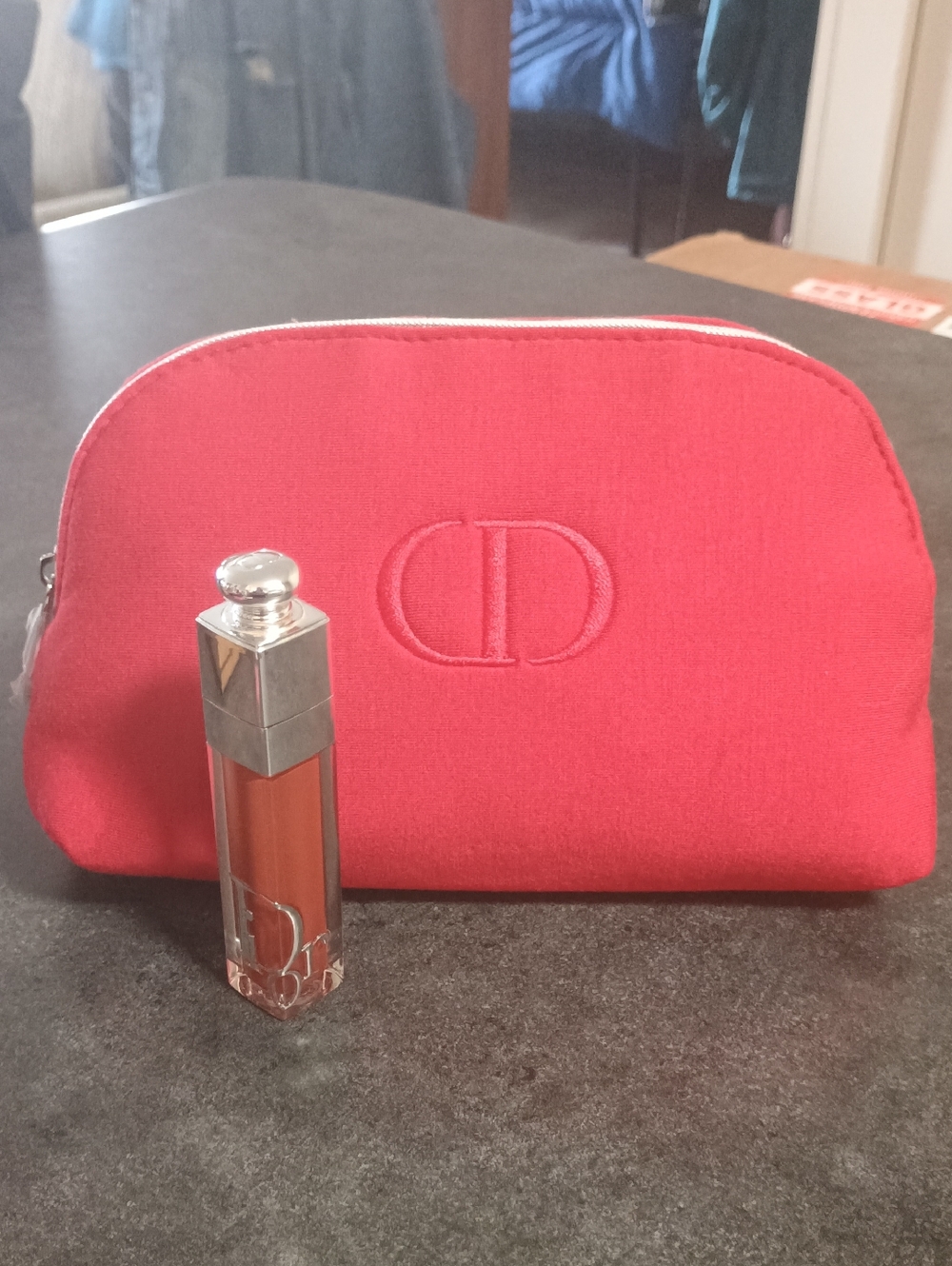 NWOT Dior Makeup Pouch with Dior Addict Lip Maximizer 062
